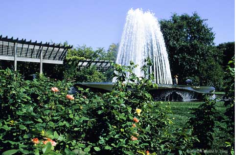 Chicago Botanic Garden Fountain 25003