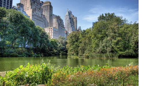 WEB-New York-Central Park