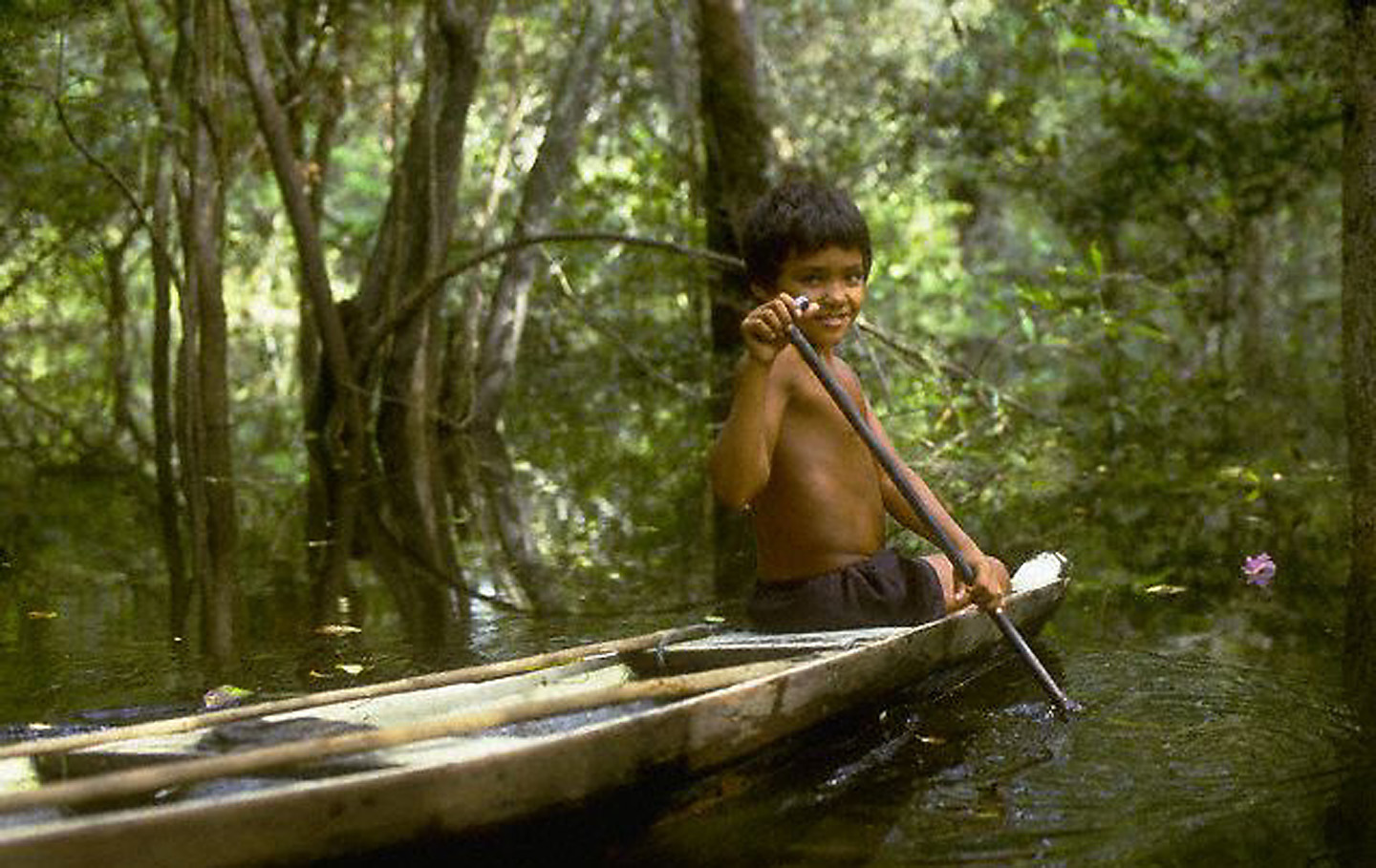 Brazilian Boy Paddling Dugout Canoe on Amazon River